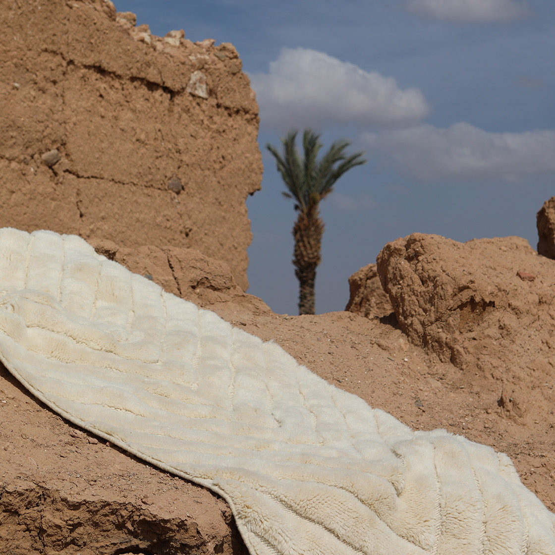 A luxurious Barbary Wool cream-colored rug draped over a rustic clay wall with a palm tree and a blue sky in the background, blending natural textures and desert-inspired aesthetics.