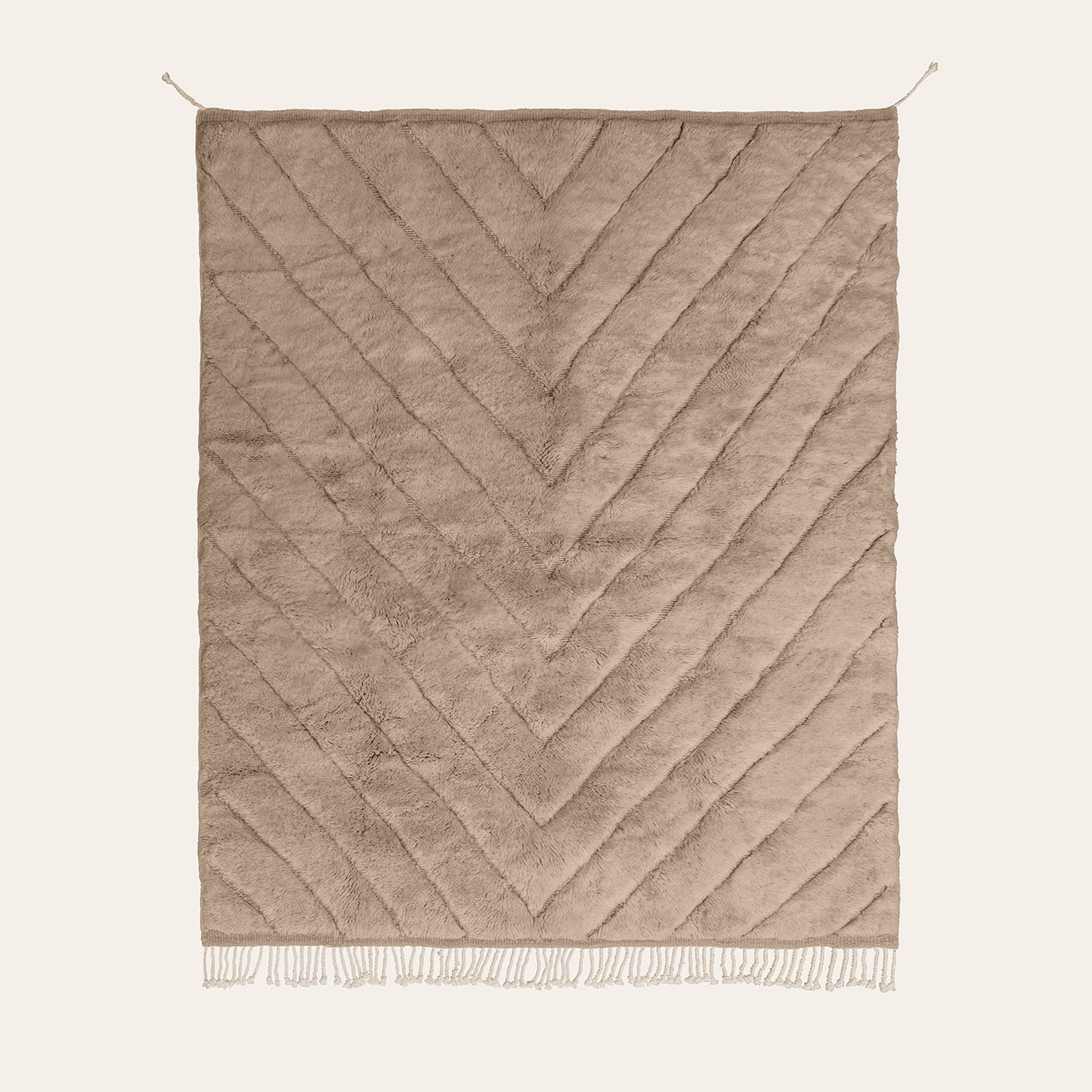 TAUPE ADRAR